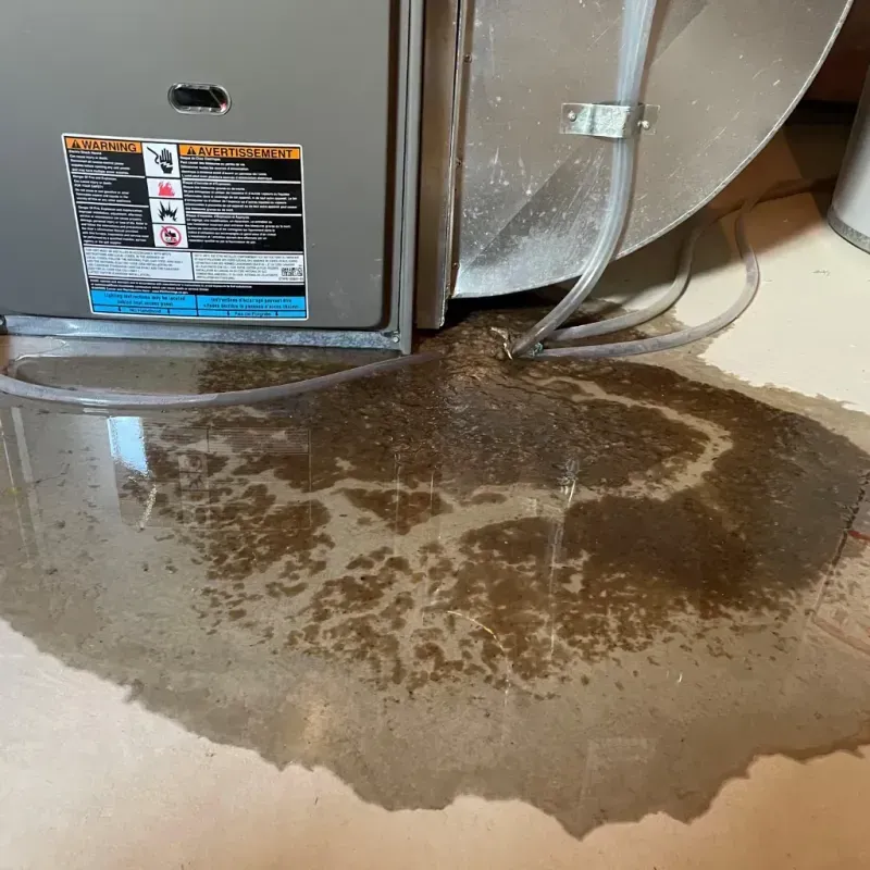 Appliance Leak Cleanup in Princeton, IN